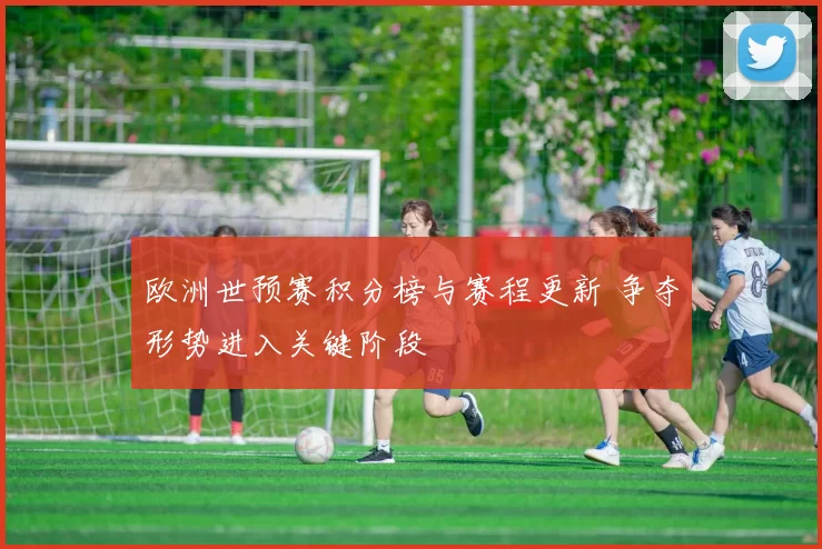 欧洲世预赛积分榜与赛程更新 争夺形势进入关键阶段