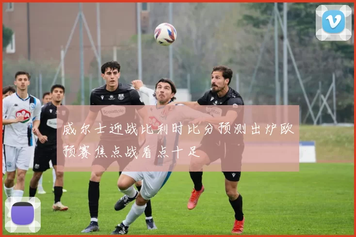 威尔士迎战比利时比分预测出炉欧预赛焦点战看点十足
