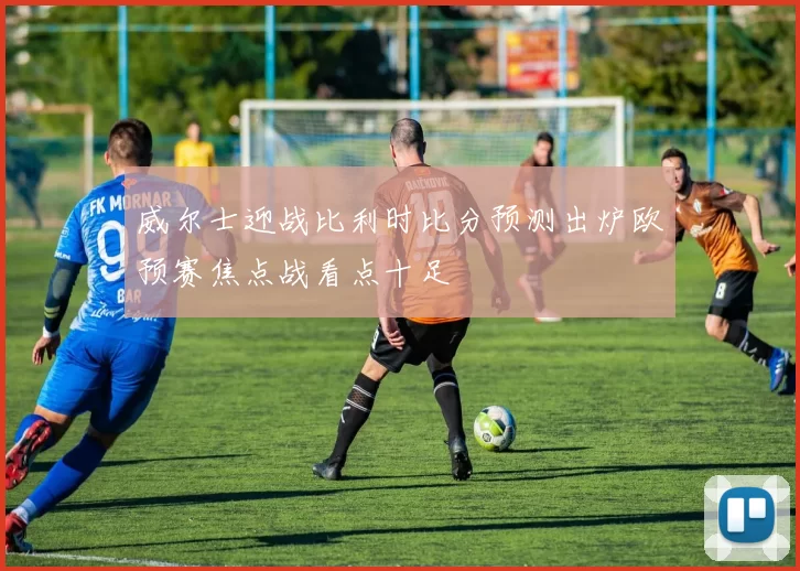 威尔士迎战比利时比分预测出炉欧预赛焦点战看点十足