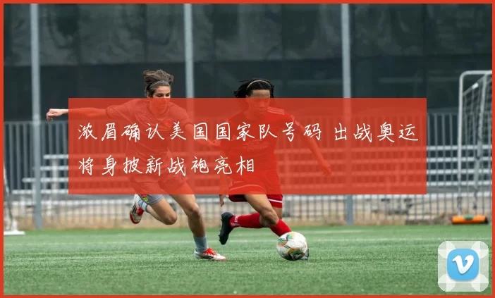 浓眉确认美国国家队号码 出战奥运将身披新战袍亮相