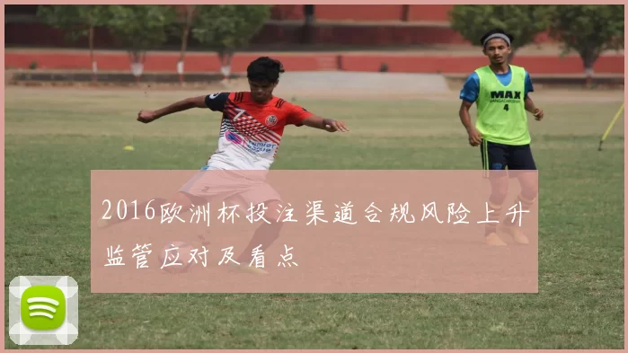 2016欧洲杯投注渠道合规风险上升监管应对及看点
