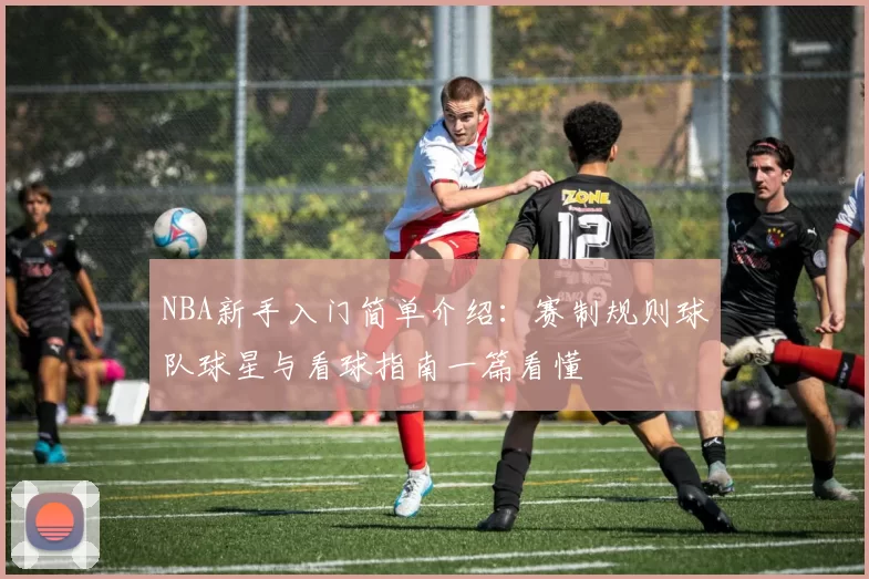 NBA新手入门简单介绍：赛制规则球队球星与看球指南一篇看懂