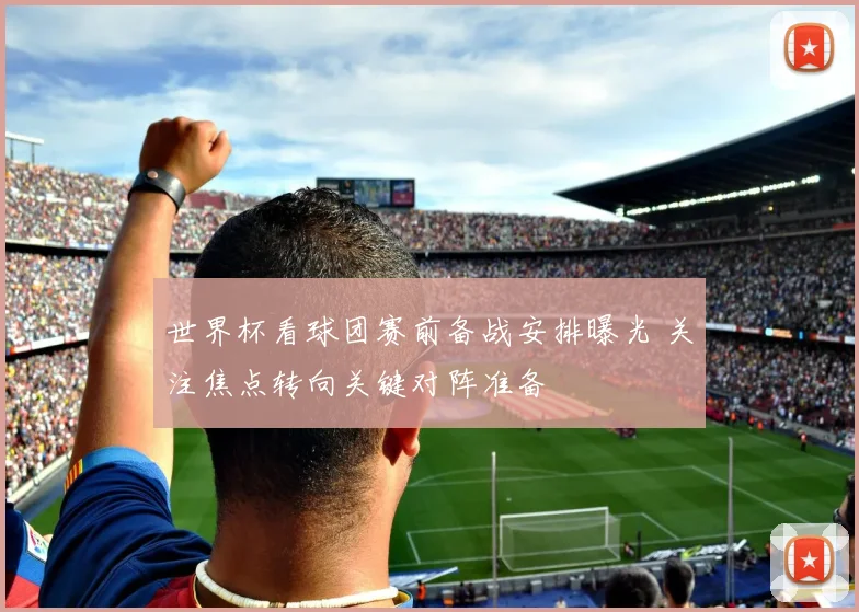 世界杯看球团赛前备战安排曝光 关注焦点转向关键对阵准备